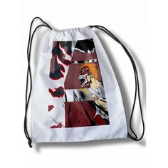 Мешок для cменной обуви аниме блич - 31092 Brut Boxers