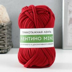 Пряжа трикотажная 100% хлопок Лентино mini 100 гр 40 м цвет 20 вишневый, 2 шт. Нет бренда