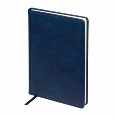 Ежедневник Bruno Visconti недатированный А5 "CLASSIC" синий