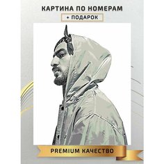 Картина по номерам Мияги / Miyagi холст на подрамнике 40*50