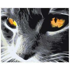 Картина по номерам Янтарный взгляд 40х50 см АртТойс