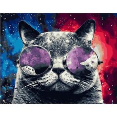 Картина по номерам Космический кот 40х50 см АртТойс