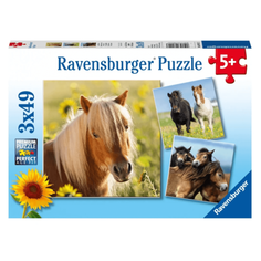 Ravensburger Пазл "Пони" 3х49 R08011