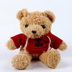 Мягкая игрушка "Медведь" в кофте, 30 см, цвет красный Россия