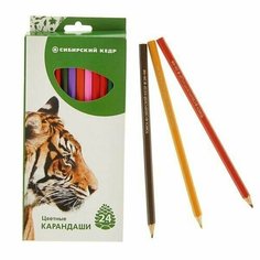 Набор цветных карандашей "Тигр" шестигранный корпус - 24 штуки Asmar