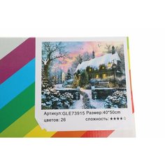 Алмазная мозаика 40Х50 Зимний вечер КНР
