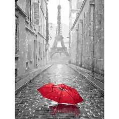 Картина по номерам Парижский зонтик 40х50 см АртТойс
