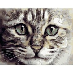 Картина по номерам Милый котенок 40х50 см АртТойс