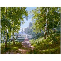 Картина по номерам Лесная тропинка 40х50 см АртТойс