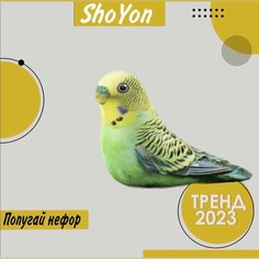 ShoYon /Мягкая игрушка попугай нефор(антистресс) Скибиди обнимусь