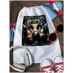 Мешок для сменной обуви System of A Down - 2856 Brut Boxers