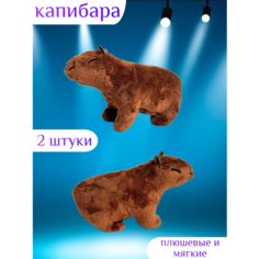 2 штуки Капибара игрушка мягкие плюшевые Centr Podarkov Sofiya