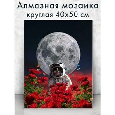 Алмазная мозаика (круг) "Космонавт в цветах" 40х50 см Colibri