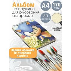 Альбом планшет для рисования акварелью мультфильм Соник Альбомы