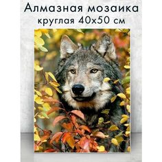 Алмазная мозаика (круг) "Волк на охоте" 40х50 см Colibri