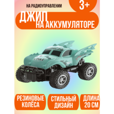 Машинка на радиоуправлении на аккумуляторе в коробке Shantou City Plastic Toy Industrial Сo., Ltd