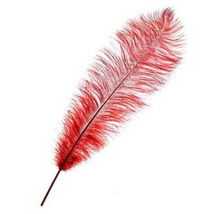 Перо для декора, длина от 45 до 50 см, цвет бордовый Noname