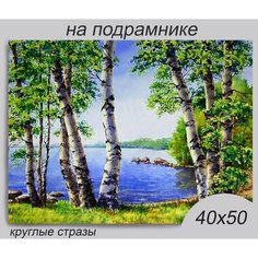 Алмазная мозаика на подрамнике 40*50 см DIY