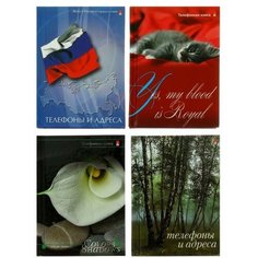 Альт Телефонная книга А7, 48 листов, обложка ламинированный картон, блок 80 г/м2, микс