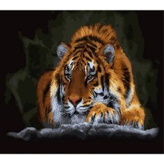 Картина по номерам Сила спокойствия 40х50 см Hobby Home