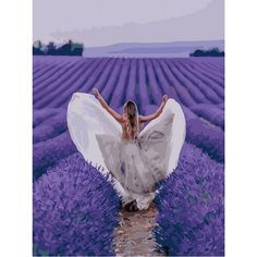 Картина по номерам Свадьба в Провансе 40х50 см Hobby Home