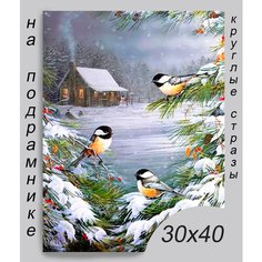 Алмазная мозаика на подрамнике 30*40 см Rremdes