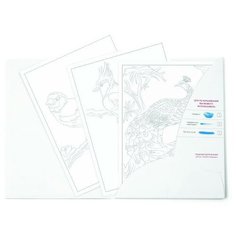 Раскраска-эскиз АРТформат птицы 10 листов А4 акварельная бумага, 200 гр, в папке