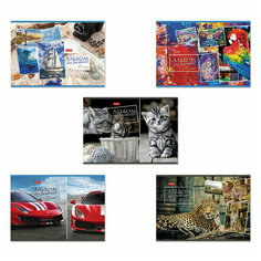 Альбом д/рис. 48 л. (Хатбер) на скобе А4ф серия -Ассорти- 48А4В Hatber