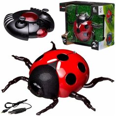 Интерактивная игрушка JUNFA "Божья коровка", ползает по стенам, р/у, с зарядным устройством, световые эффекты