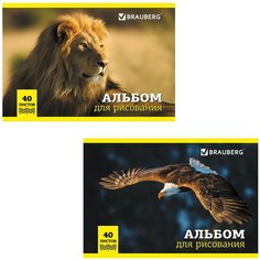 Альбом для рисования, А4, 40 л, скоба, обложка картон, BRAUBERG, 200х283 мм, Дикие животные, 104876, (10 шт.)
