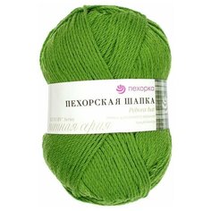 Пряжа Пехорка Пехорская шапка (85% мериносовая шерсть, 15% акрил высокообъемный) 5х100г/200м цв.434 зеленый