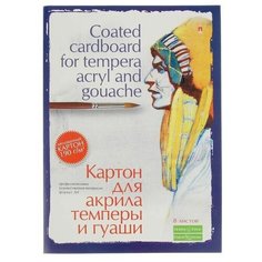 Картон для акрила, темперы и гуаши А4, 8 листов Профессиональная серия , мелованный, 190 г/м2 Альт