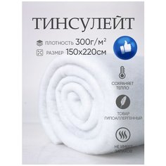 Тинсулейт не каландрированный Т300, 3см плотность,150х220 полотно для одеял, одежды, рулончик, наполнитель для кукол и игрушек, утеплитель ASTRASOFT