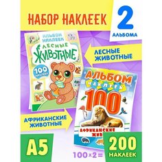 Альбом наклеек для творчества А5 набор 2 шт. Краски ШОУ