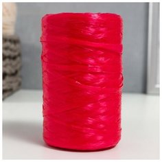 Пряжа "Для вязания мочалок" 100% полипропилен 400м/100±10 гр (рубин) Noname