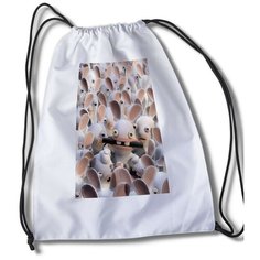 Мешок для cменной обуви Игры Rabbids Invasion - 32991 Brut Boxers
