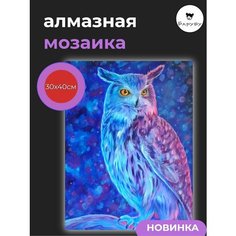 Алмазная мозаика / Картина стразами Сова на холсте 30х40 Барубу