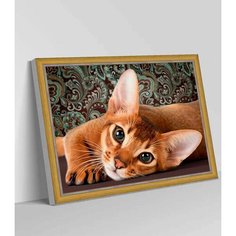 Алмазная мозаика "Кошки, абиссинский кот" "Раскрасим сами"