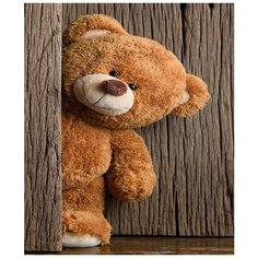 Картина по номерам Медведь 40х50 см 000 Art Hobby Home