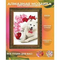 Алмазная мозаика Белый маламут щенок картина вышивка без подрамника размер 25х25 Нет бренда