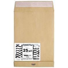 Конверт-пакет Extrapack Крафт С4 стрип, 229х324 мм, 100 г, 25 штук в упаковке ЭКСТРАПАК