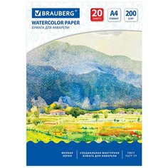 Альбом BRAUBERG 29.7 х 21 см 200 г/м², 20 л. белый