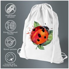 Сумка для обуви CoolPodarok Краски. Божья коровка на листке