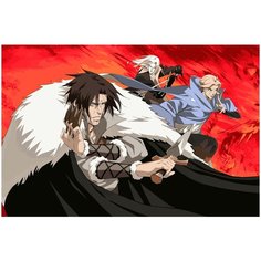 Картина по номерам на холсте Аниме Кастельвания 5208 60х40