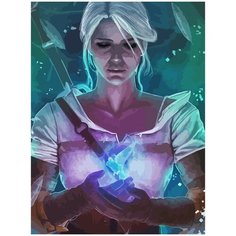 Картина по номерам на холсте ведьмак witcher цири с птицей - 2356 30X40