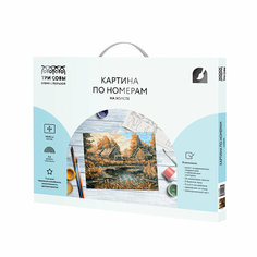 Картина по номерам на холсте ТРИ совы "Деревня", 40*50см, с акриловыми красками и кистями (арт. 335141)