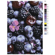 Картина по номерам S42 "Ягоды" 60x90 Brushes Paints