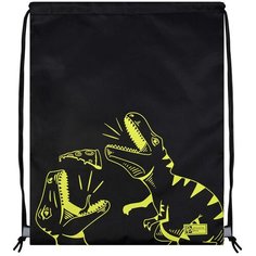 Мешок рюкзак для сменной обуви и формы Phoenix Plus черный Динозавры +брелок В подарок Феникс
