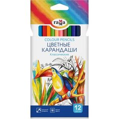 Цветные карандаши для школы 12 цветов для рисования мягкие / Школьный набор цветных карандашей Гамма "Классические" Gamma
