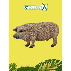 Фигурка животного Collecta, Венгерская свинка